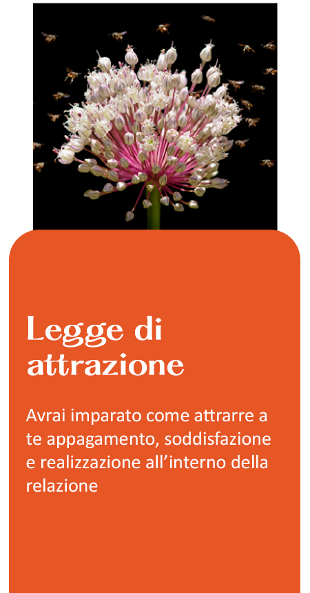 Legge di attrazione