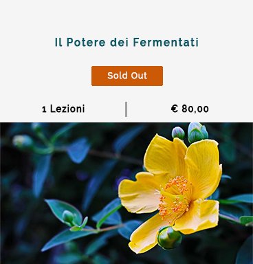 fermentati300.jpg