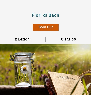 mono_bach350.jpg