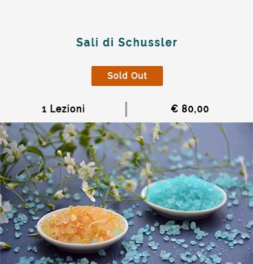 sali-di-schussler.jpg